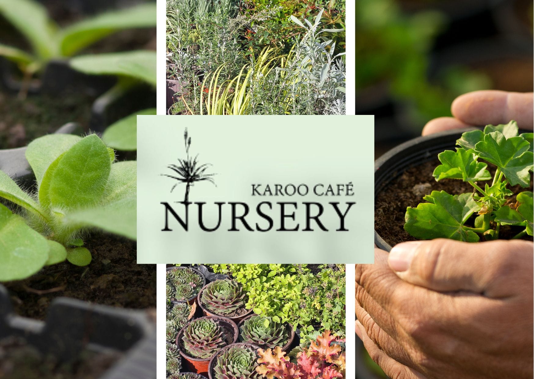 Karoo Nursery